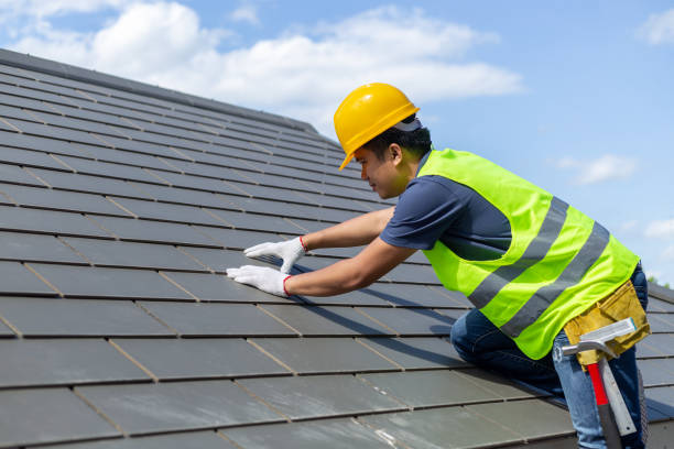 Best Shingle Roofing Installation  in Ciborne, LA